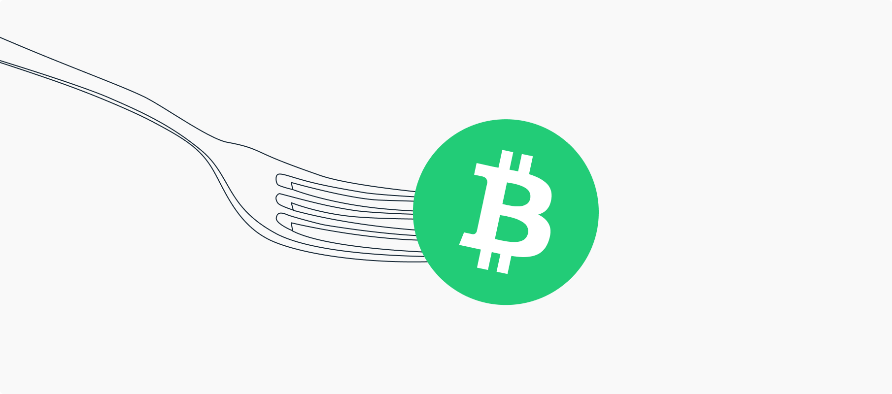 Ledger bitcoin cash split basics of bitcoin